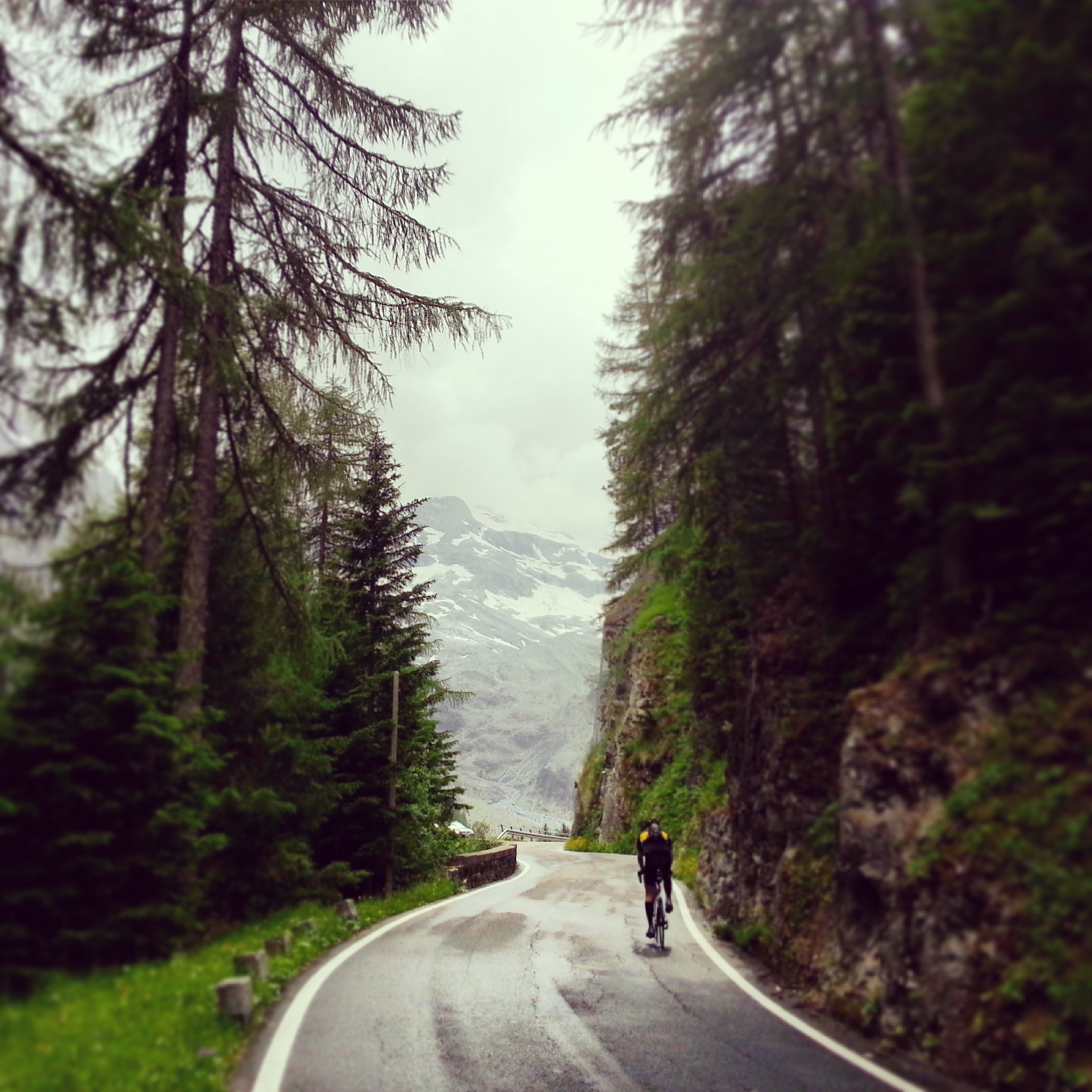 bild på Grzegorz Mikolajewicz